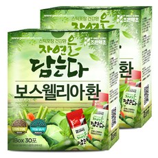 굿허브 프리미엄 스틱형 보스웰리아 환, 2g, 60개입
