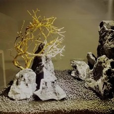 모스트리 분재 유목 활착 수족관 용품 홈 나무 자연 트렁크 나무 물고기 탱크 배경 식물, 20-25cm