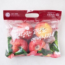 맛뜨레 엔비 사과 중과 4입봉, 1kg, 1개