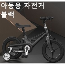 Dream패션 어린이 네발 자전거 아동용 자전거 SYKB100, 16인치, 블랙