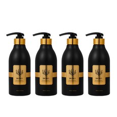 닥터란 탈모증상완화 기능성 블랙 계란 탈모샴푸, 4개, 500ml