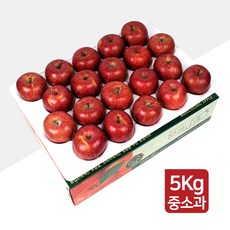 [명품농원] 당도선별 문경 사과 5kg 꿀 부사 선물세트, 1박스, 06. 가정용 중소과 5kg(20~21과)-흠과