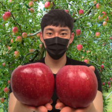 보조개 아리수 홍로 청송 감홍 부사 안동 사과 못난이 흠집 가정용 중과 10kg