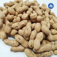 장수왕 국산 피땅콩 (볶음땅콩) 500g 햇 땅콩 부럼 알땅콩 정월대보름 중부시장도매, 1봉