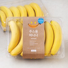과일보감 코스타리카 주스용 바나나, 1.7kg, 2팩