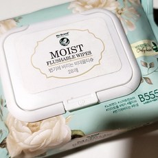 노브랜드 변기에 버리는 비데 물티슈 캡형 28매 (154g) x 10개 휴대용 Nobrand MOIST FLUSHABLE WIPES, 10