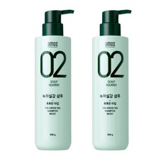 아모스프로페셔널 녹차실감 샴푸 촉촉한 타입, 2개, 500g