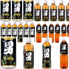 힘찬하루 헛개차 180ml 340ml 500ml 1.5L 숙취 음료 차 헛개수 광동, 헛개차 500ml 20개