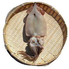 자연산 100% 쫄깃쫄깃 포항 구룡포 반건조오징어 5미 10미, 반건조오징어 450g (5미)