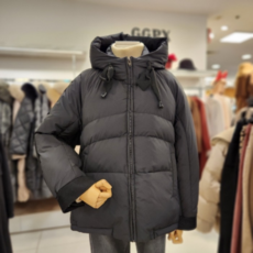 GGPX NC02 모직배색다운점퍼 GLDBDU420