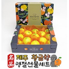 제주 황금향 산지직송 꿀당도 프리미엄 명절선물세트 1.6kg 2.6kg, 중과 1.6kg(6-9과)