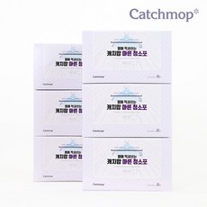 캐치맙 물에 적셔쓰는 마른청소포 150매, 단품