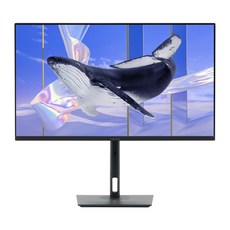 인터픽셀 80.01cm 4K UHD USB C타입 모니터, IPU3210(무결점)