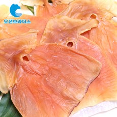 오션브라더스 통통 몸통 건오징어 파지 200g, 단품없음