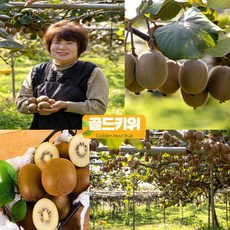 국산 보성 참다래 고당도 골드키위 골든키위 2kg, 국내산 보성 골드키위 2kg, 특대 사이즈(14~17과)