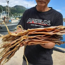 울릉도 당일바리 마른오징어, 5미(400g내외), 마른