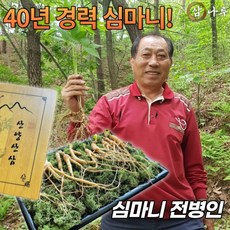 40년경력 심마니 전병인의 삼나루 산양산삼 산양삼 6년근 10뿌리 세트 명절선물 부모님선물