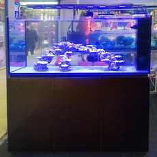 해수 어항 세트 가정용 해수어 네모난 수족관 키우기쉬운물고기 배면섬프 해파리 니모 키우기 Sea Rubiks 큐브 유리 M 시리즈 수조 슈퍼 화이트 탱크 스마트 해저 필터, MG-150黑