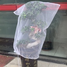 말벌트랩 말벌포획기 말벌퇴치기 곤충 그물 정원 도구 식물 보호 가방 새 방지 그물 끈, 100-150cm