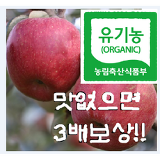 맛없으면 3배보상!! 유기농 사과 3kg 5kg (매장판매용), 유기농사과 3kg (15~17개)