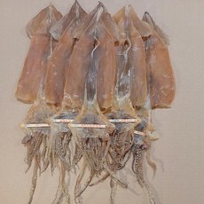 울릉도 남양동 당일잡이 마른오징어 (5마리) 325g내외