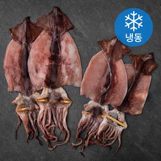 국내산 반건조 오징어 4미 (냉동), 1개, 300g