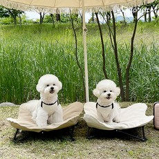코코로 강아지캠핑의자 M 베이지 순면커버세트