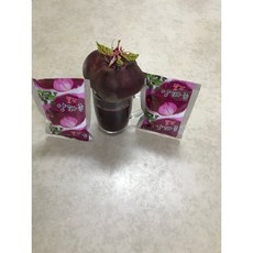 [참건강원] 비트자색양파즙, 50개입,120ml