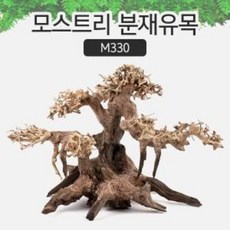 아쿠아시스템 모스트리 분재유목 S (M330)