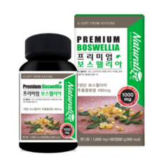 네추럴라이즈 웰스보리아 보스벨리아 홈쇼핑 코스트코 보스웰리아 효능, 선택2)네추럴라이즈 웰스보리아 2개월분