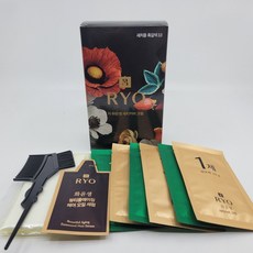 NEW 려 화윤생 새치커버크림 120g (3.0 흑갈색)