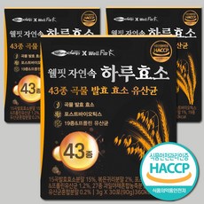 웰핏 웰핏 자연속 하루효소 43종 곡물 발효 효소 유산균, 90g, 3박스