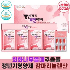 여성 여자 엄마 갱년기 영양제 안면홍조 극복 증상완화 소포리코시드 회화나무열매 추출물 감마리놀렌산 식약처인증 40대 50대 60대 선물 2개월분, 1박스(120캡슐) x 2개월분