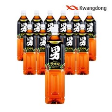 광동 힘찬하루 헛개차, 1.5L, 9개
