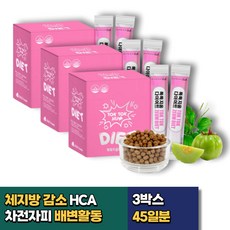 복부 하체 다이어트환 가르시니아 HCA 차전자피 남자 중년 예신 웨딩 출산후 직장인 단기 2주 일주일 한달 체지방감소 배변활동 장건강 식이섬유 영양제