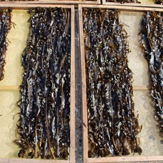 달빛바다수산 자연산돌각산모미역, 700g내외, 1개입