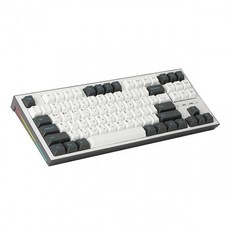 COX CK01 TKL PBT 기계식 키보드 (청축), 청축