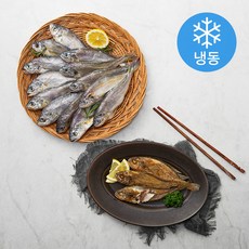 영광 법성포 굴비 20미 (냉동), 1.2kg, 1팩