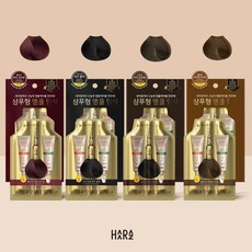 하라즈 간편한 5분염색 샴푸형 버블 염색약 4color 10회, 내추럴브라운10회분