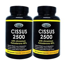 마이라이프 시서스 My Life CISSUS 2500mg 120정 2병, 1개, 기본