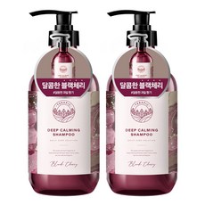 테라픽 딥 카밍 샴푸 블랙체리, 2개, 1000ml