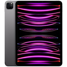 Apple 정품 2022 아이패드 프로 11 4세대 M2칩, 스페이스그레이, 512GB, Wi-Fi+Cellular