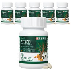 일양약품 보스웰리아 AKBA + KBA, 60정, 6개