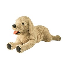 이케아 고시그골덴 강아지 애착인형 대형, 70cm, 강아지(대)