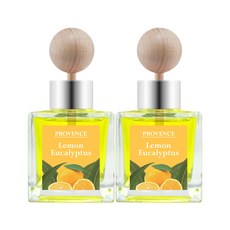 프로방스 카 디퓨저 50ml, 레몬유칼립투스, 2개입
