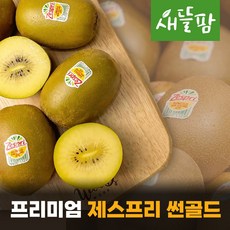 [정품고당도] 골드 키위 제스프리 점보 썬골드 뉴질랜드산 가정용 선물용, 제스프리 특대과 130g-10개, 10개