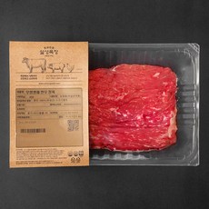 설성목장 무항생제 2등급 한우 장조림용 (냉장), 300g, 1개