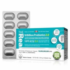 더 리얼 100억 유산균 2.0 500mg x 60캡슐, 1개, 60정