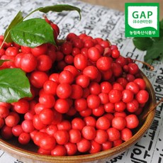 초록사랑 문경오미자 GAP인증 세척오미자 (냉동생과), 1개, 3kg(냉동생과)
