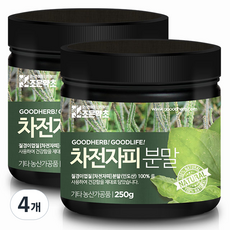 조은약초 차전자피분말, 250g, 4개